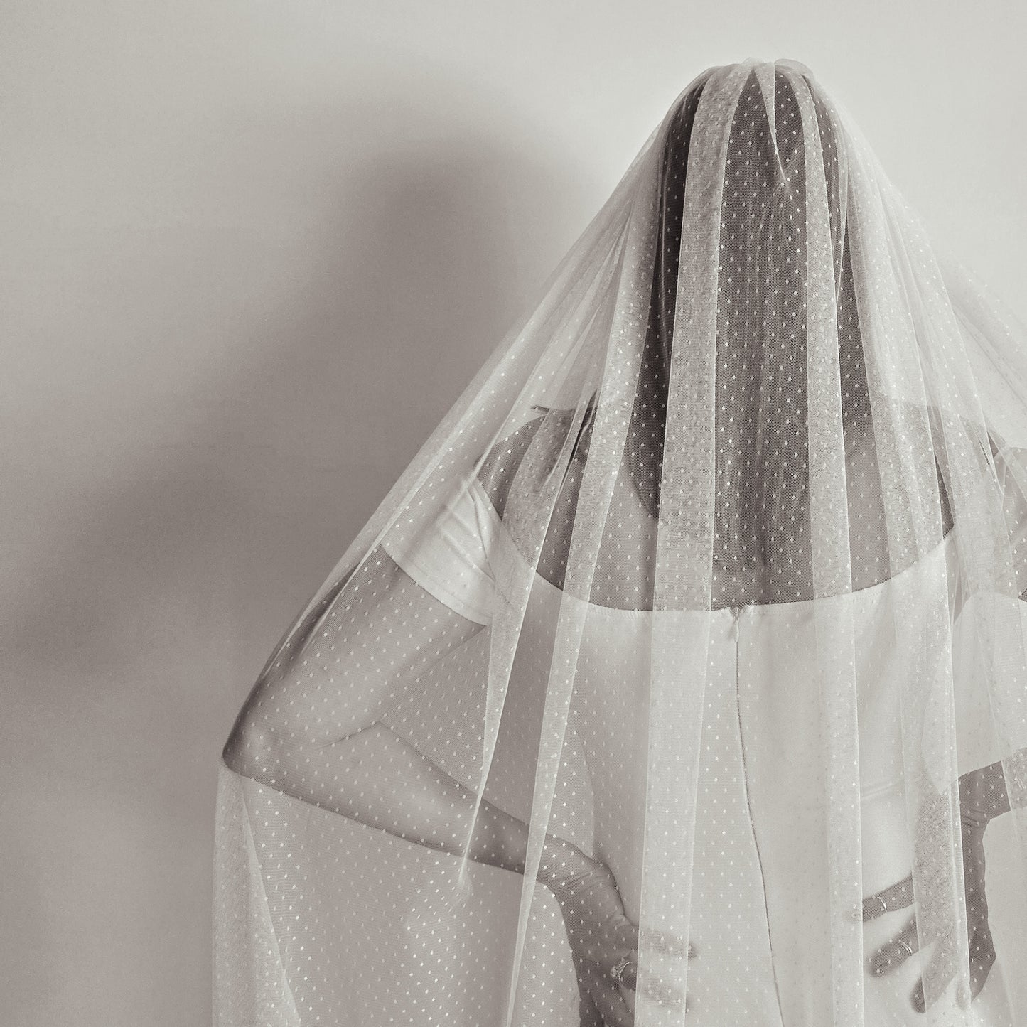 The Stevie Veil