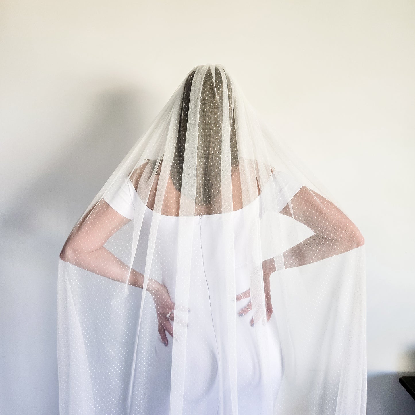 The Stevie Veil