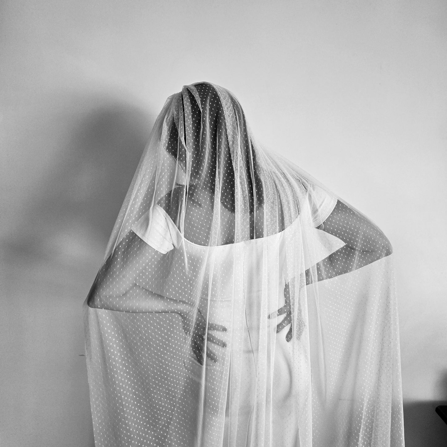 The Stevie Veil