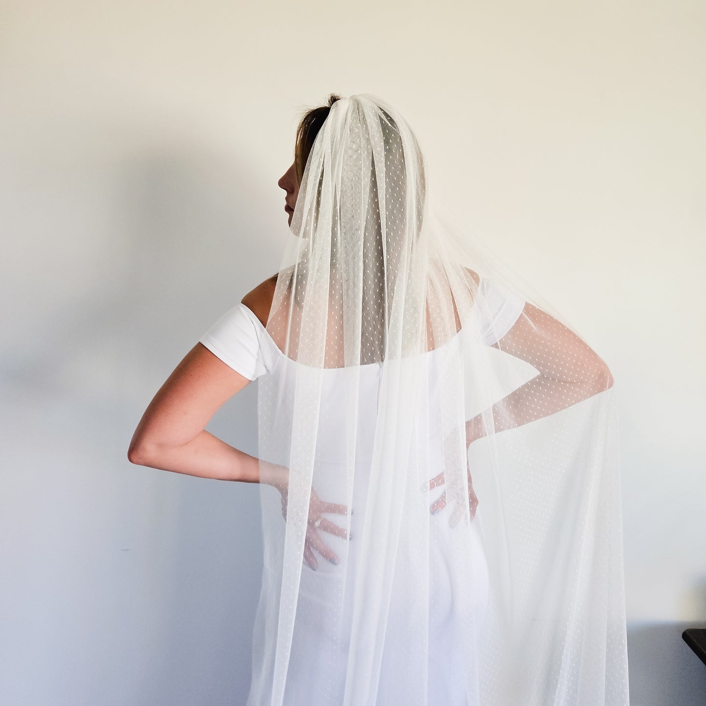 The Stevie Veil