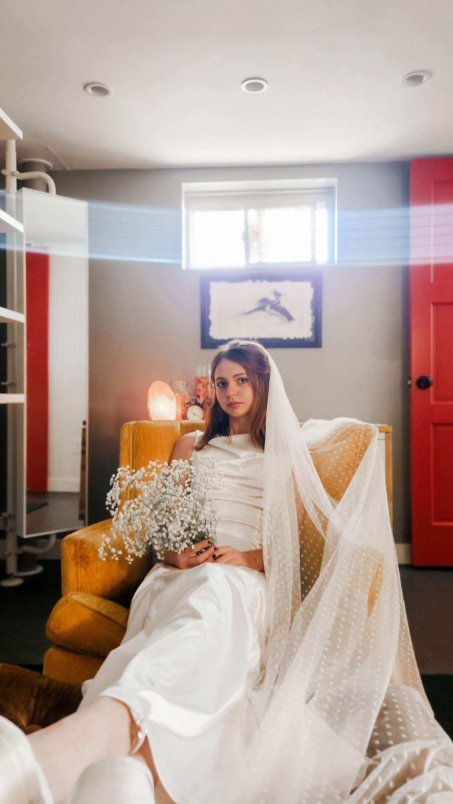 The Stevie Veil
