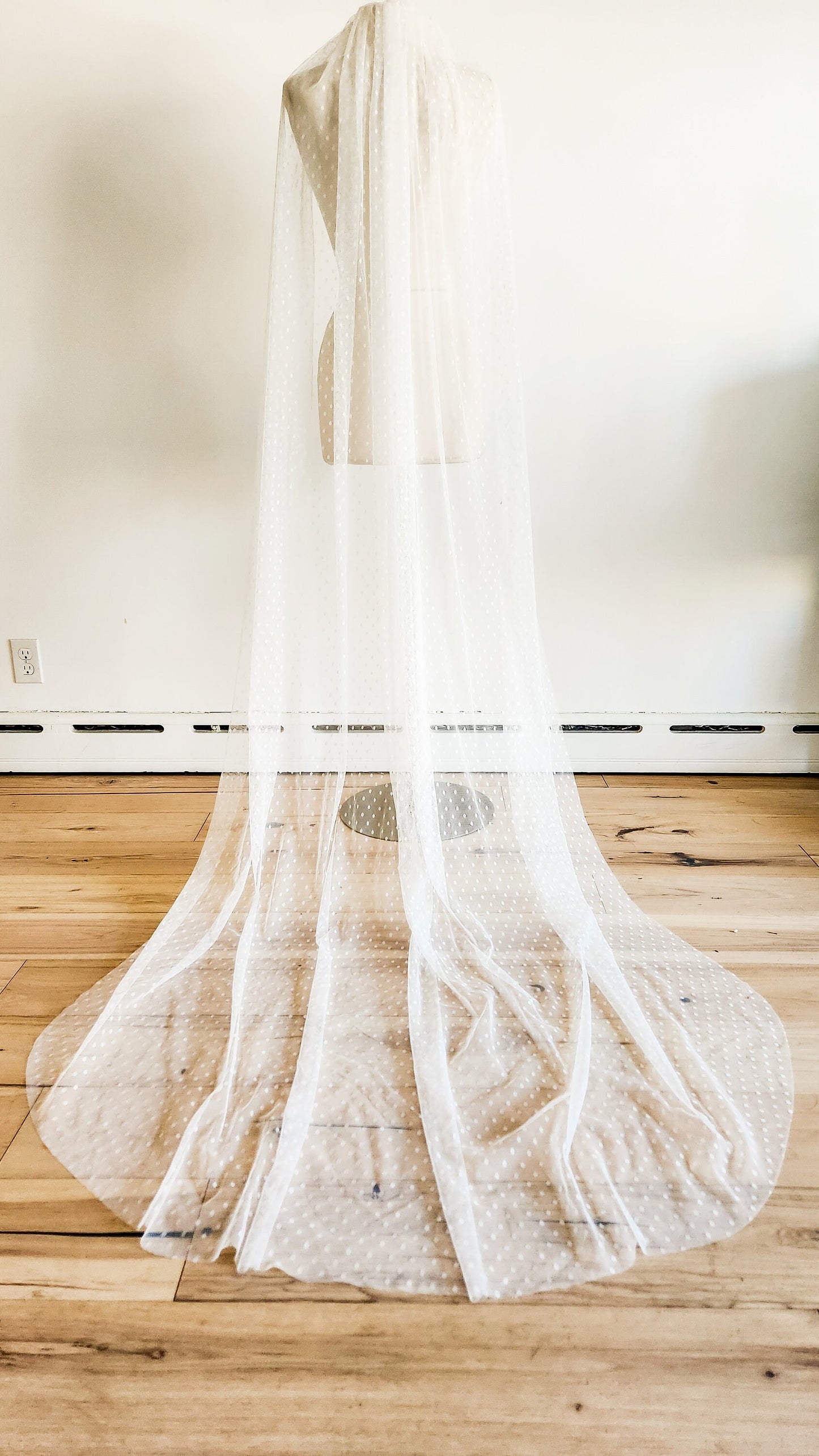 The Stevie Veil