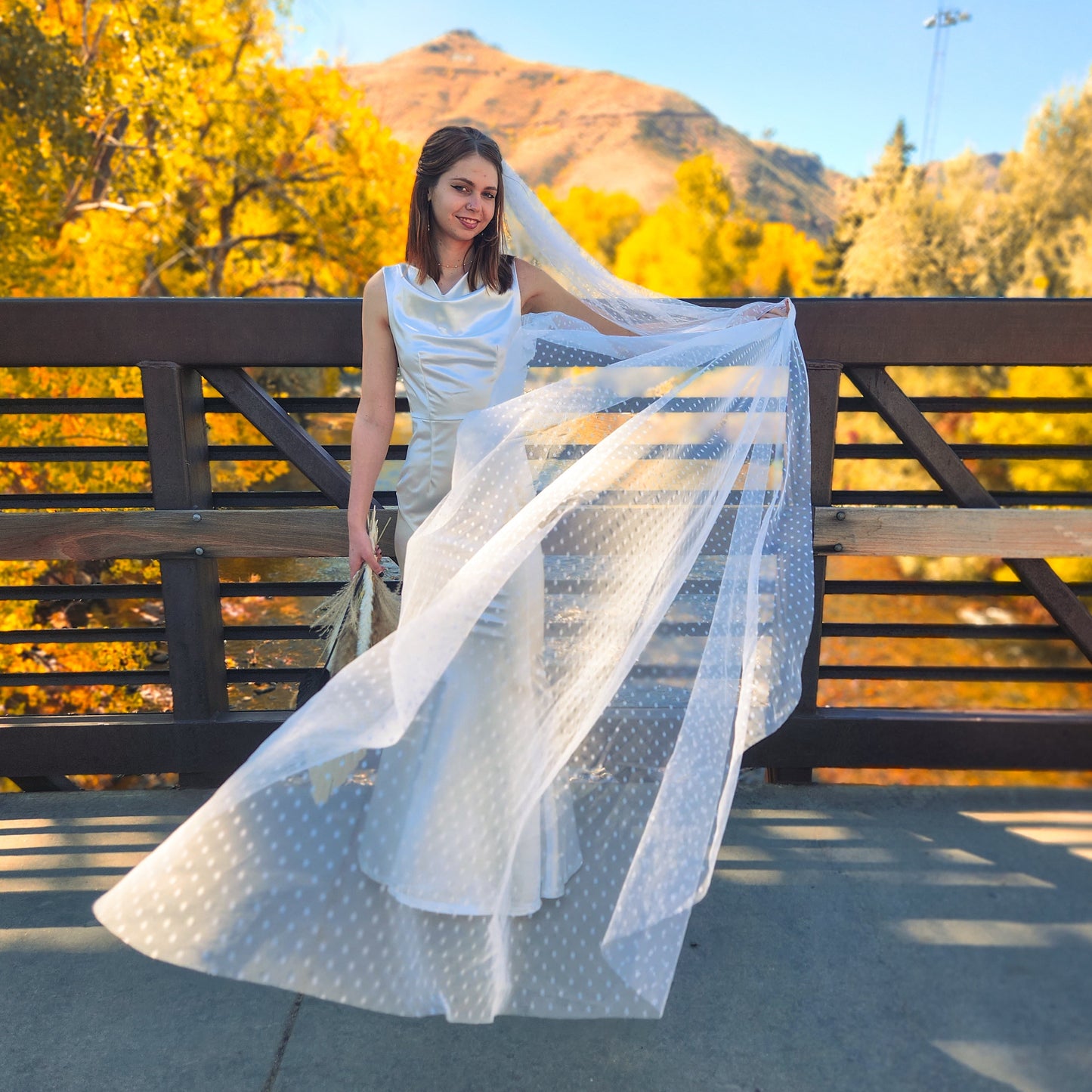 The Stevie Veil