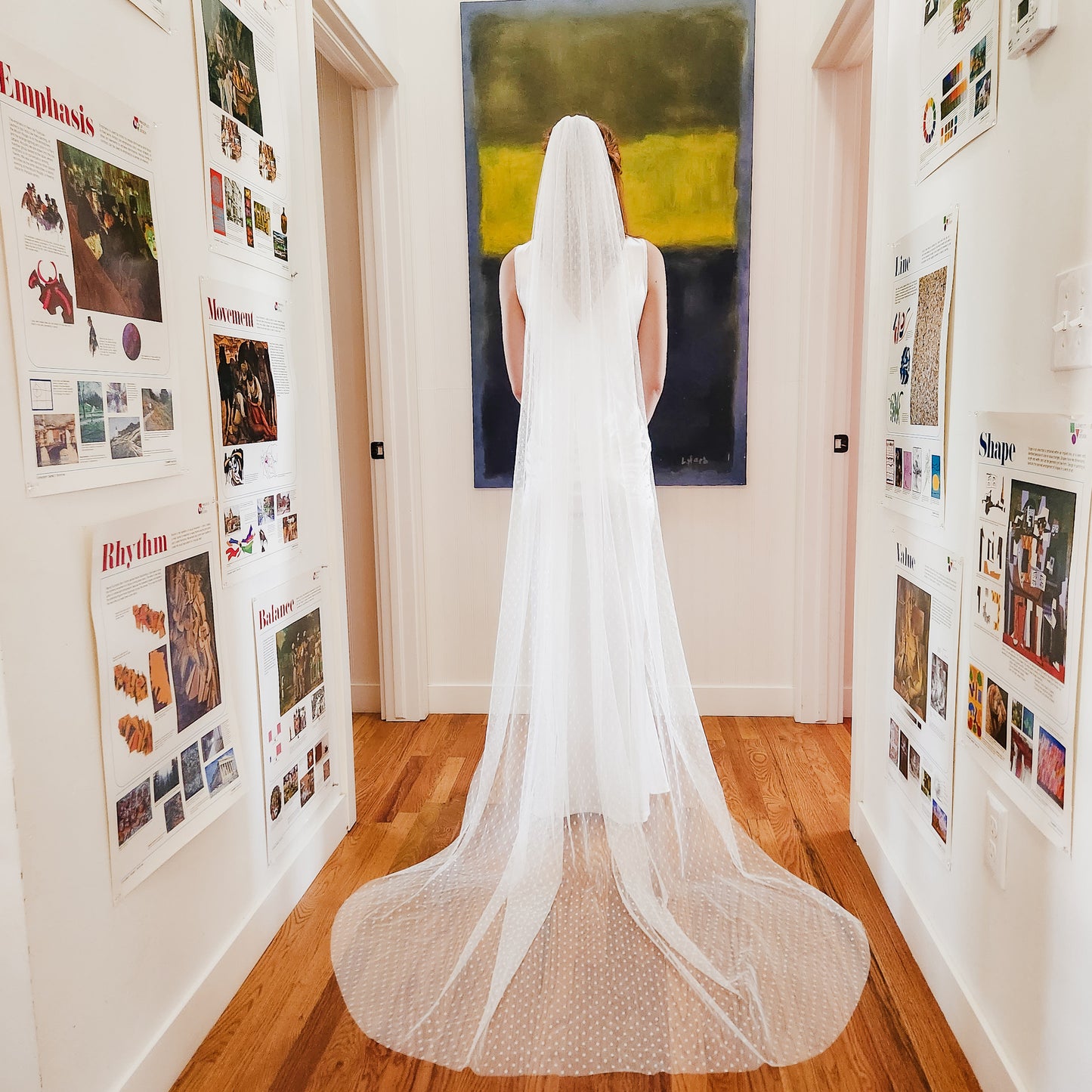 The Stevie Veil