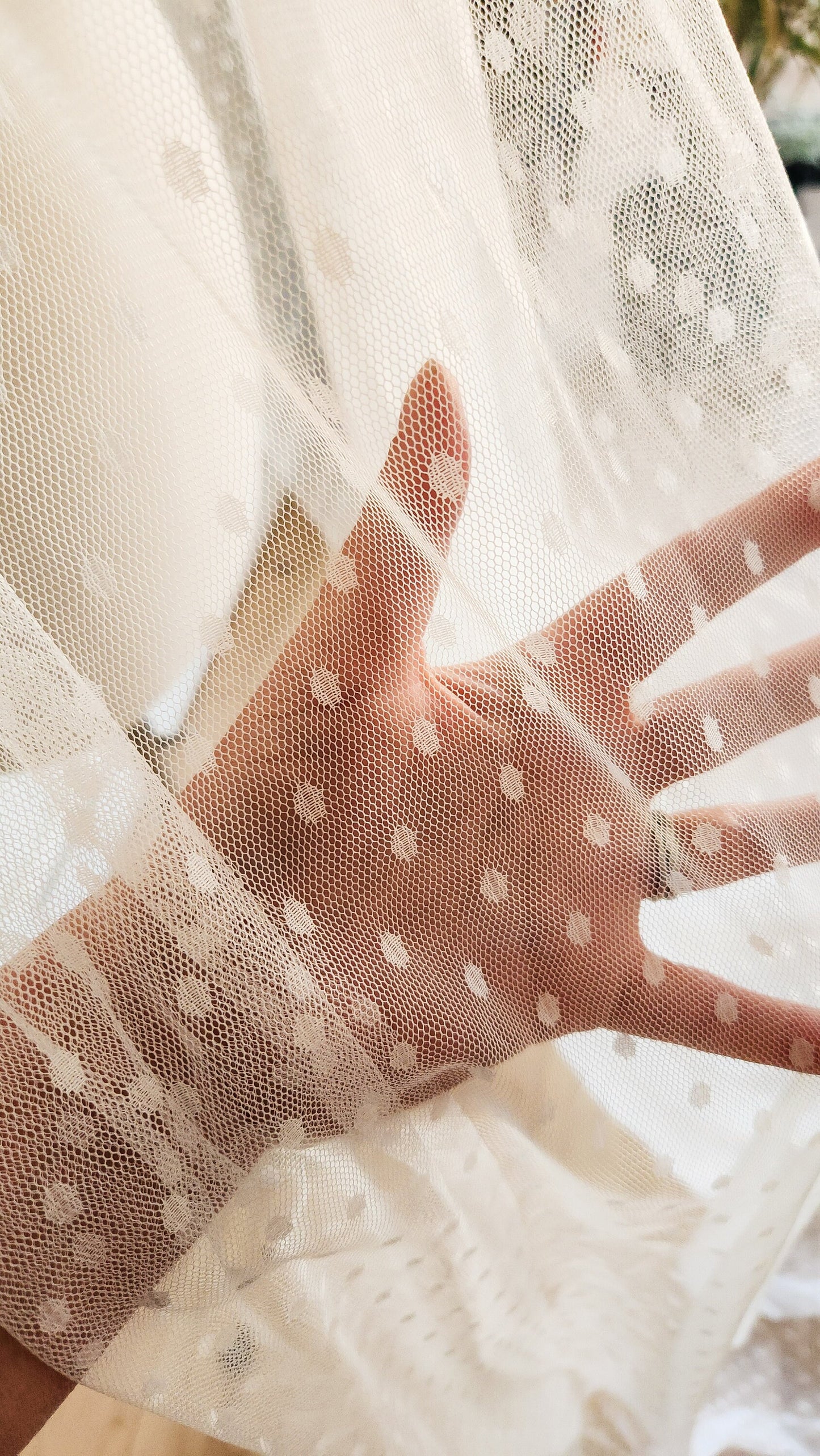 The Stevie Veil