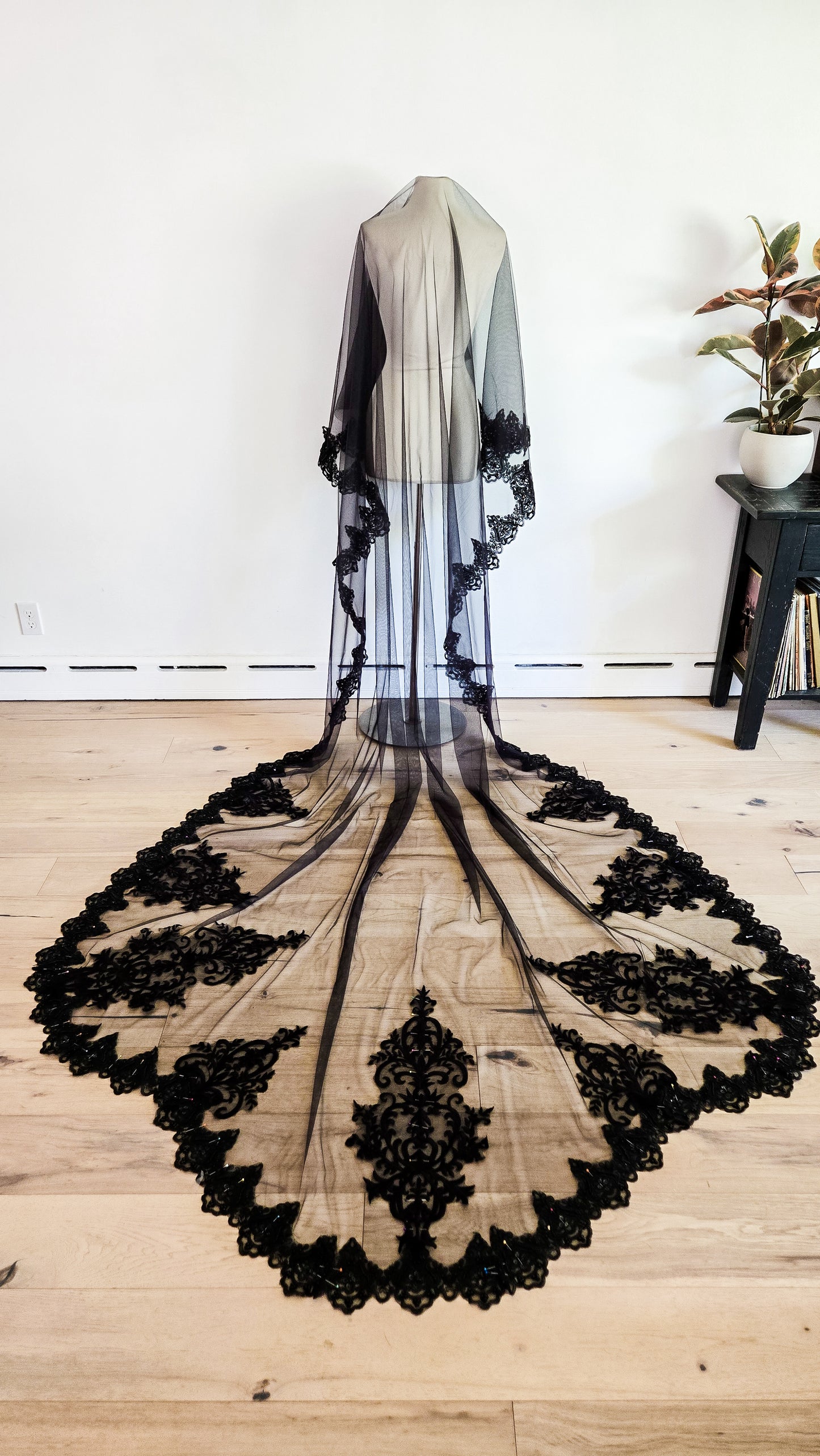 The Anastasia Veil Limited Editon