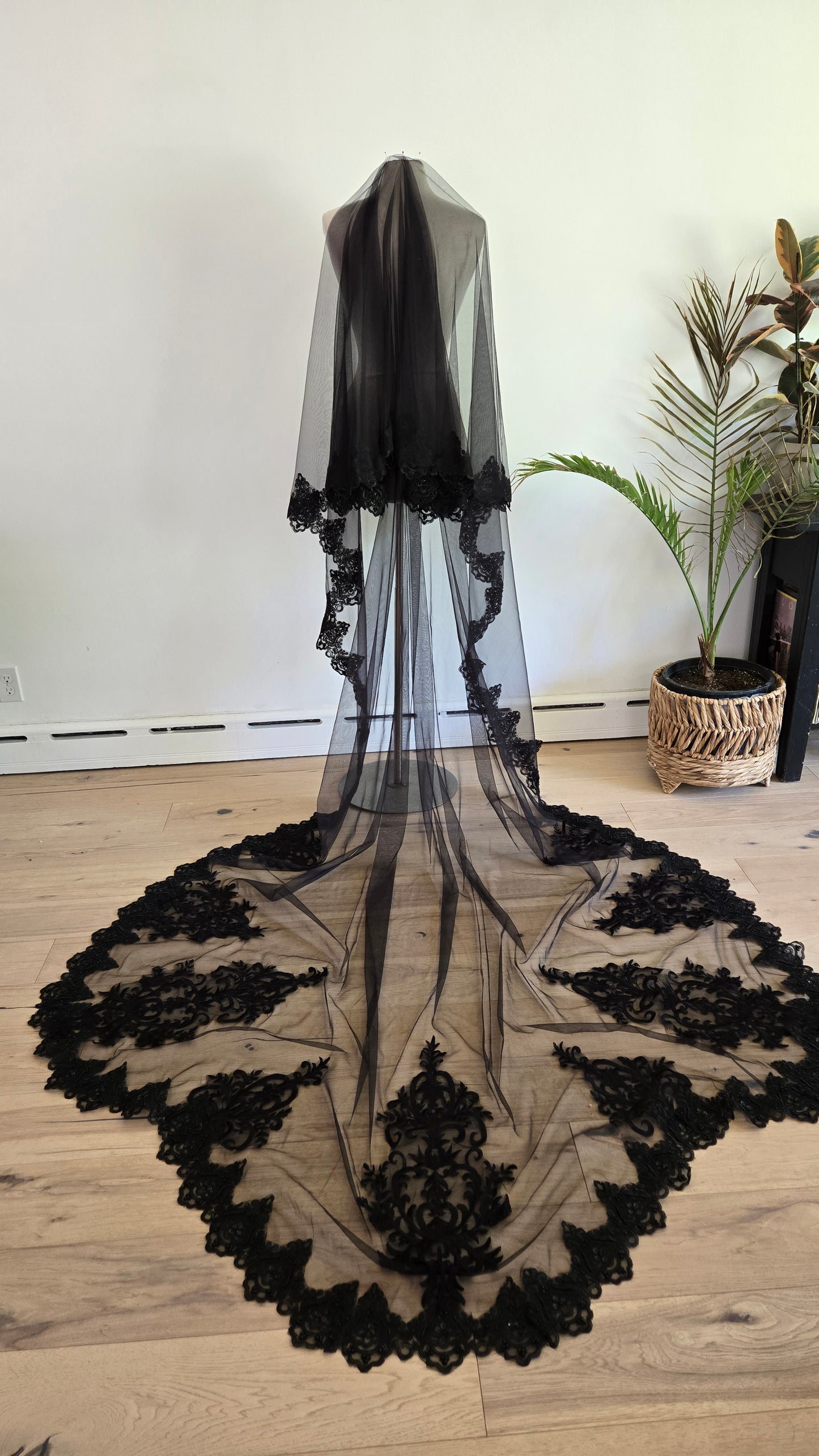 The Anastasia Veil Limited Editon